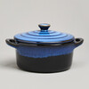 ГОРШОЧЕК ДЛЯ ЗАПЕКАНИЯ REACTIVE BLUE 18,5*14,5*6,5/10СМ 600 МЛ