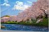 Картина с LED подсветкой 40*30см (уп.1/24шт.)